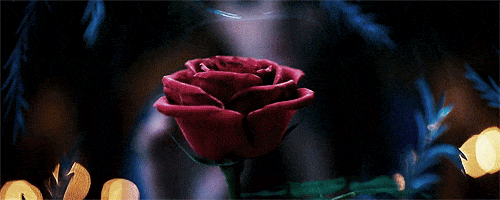 Beauty and the Beast Belle and the Rose Gif
