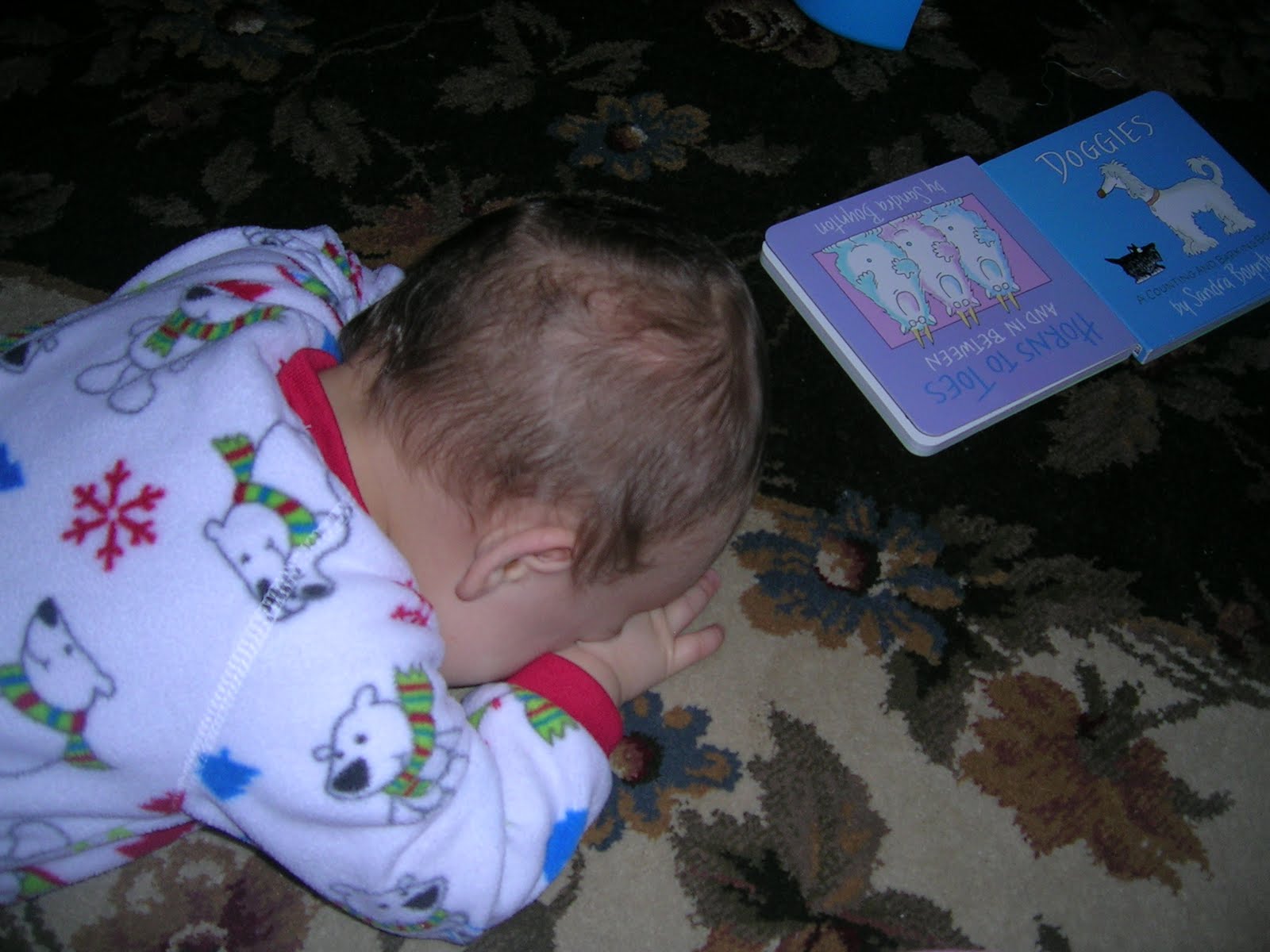 Did Santa bring you everything you asked for? — December 2009